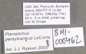 Media type: image;   Entomology 600477 Aspect: labels